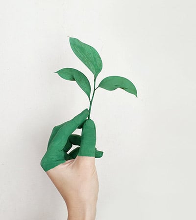 Flex-O bureaux eco-responsable