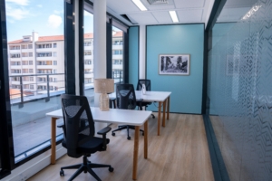 flex-o-lyon-bureau-prive